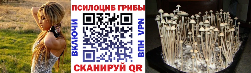 Псилоцибиновые грибы прущие грибы  купить наркотики сайты  Новая Усмань 